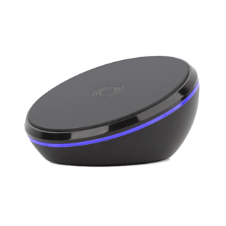 Suspendisse vehicula at dui